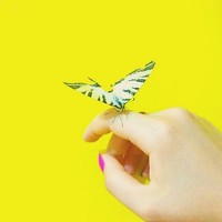 Портрет фотографа (аватар) Динара Агамова (Agamova Dinara)