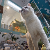 Портрет фотографа (аватар) Đỗ Minh Hà Tuấn (Viet Nam)