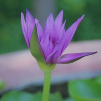 Портрет фотографа (аватар) Алексей Моисеенко (Alexey Moiseenko)