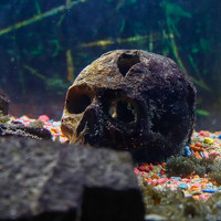 Портрет фотографа (аватар) Евгений Степанов (Evgeniy Stepanov)