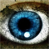 Портрет фотографа (аватар) Long Nguyen (Nguyen Hoang Long)