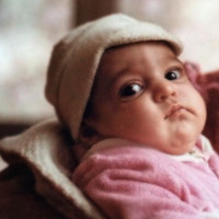 Фотография Shirin shabani Портрет фотографа (аватар) Shirin shabani