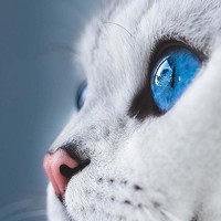 Портрет фотографа (аватар) Дмитрий Лебедь (Dmitrijs Lebeds)