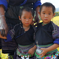 Портрет фотографа (аватар) Nguyen Dang Phong