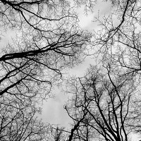 Портрет фотографа (аватар) Кристина