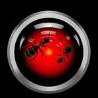 Портрет фотографа (аватар) Wojciech Kruczynski (Wojciech Kruczyński)