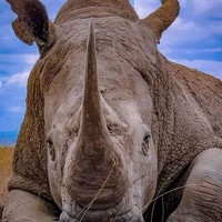 Портрет фотографа (аватар) Hitesh Kerai (Hitesh kalyan kerai)