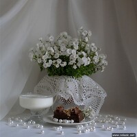 Портрет фотографа (аватар) Лилия Вишневская (Liliya Vishnevskaya)