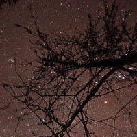 Портрет фотографа (аватар) Daniel Díaz (Daniel Díaz Saucedo)