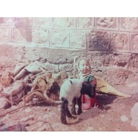 Портрет фотографа (аватар) mehmet can