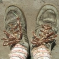 Портрет фотографа (аватар) Алексей Алексеенко (Aleksei Aleksieienko)