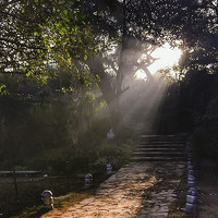 Портрет фотографа (аватар) Aneeza Shahzad