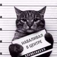 Портрет фотографа (аватар) Алексей Кузьмин (Alexey)