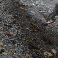 Фотография Наталья Цуканова (Natalia Tsukanova) Портрет фотографа (аватар) Наталья Цуканова (Natalia Tsukanova)