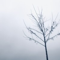 Портрет фотографа (аватар) Юлия Зырина (Julia Zyrina)