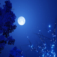 Портрет фотографа (аватар)  Olmyntay