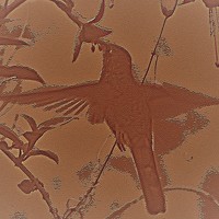 Портрет фотографа (аватар) Cristina Bosio Ferrer