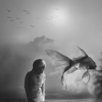 Портрет фотографа (аватар) Thabo Mampa