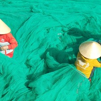 Портрет фотографа (аватар) Trí Lê Minh (Le Minh Tri)