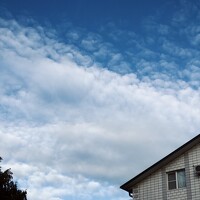 Портрет фотографа (аватар) Елизавета Си (Elizaveta Si)