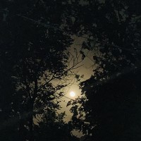 Портрет фотографа (аватар) Sidiqa Kamran (صدیقه کامران)