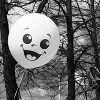 Портрет фотографа (аватар) Frenky