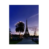 Портрет фотографа (аватар) Ankit Verma (Ankit verma)