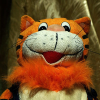 Портрет фотографа (аватар) Sasha (Yudin)