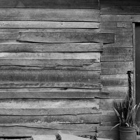 Портрет фотографа (аватар) Lina Hernández (Lina Marcela Hernández Giraldo)