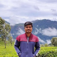 Портрет фотографа (аватар) Ashwin Raulwar (Ashwin Kumar Raulwar)