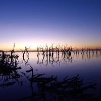 Портрет фотографа (аватар) Sandra Arena (Sandra Verónica Arena)