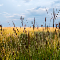 Портрет фотографа (аватар) Tatjana Vujnovic (Tatjana Vujnović)