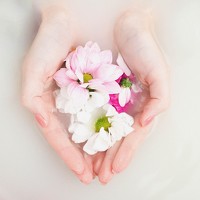 Портрет фотографа (аватар) Екатерина Ветрова (Ekaterina Vetrova)