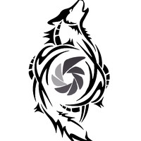 Портрет фотографа (аватар) Владимир Зеленский (Vladimir Zelensky)