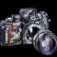 Портрет фотографа (аватар) Edgar MT (Edgar Junior Martínez Talavera)