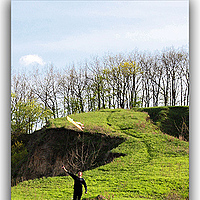 Портрет фотографа (аватар) Николай Мельничук