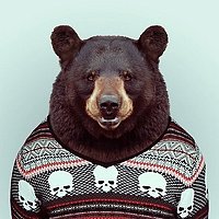 Портрет фотографа (аватар) Владимир Хохлов (Vladimir Khokhlov)