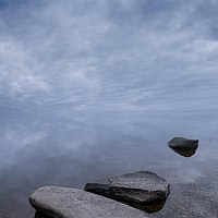 Портрет фотографа (аватар) Сидоров Евгений (Sidorov Evgenii)