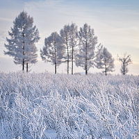 Портрет фотографа (аватар) Роман Окунев (Roman Okunev)