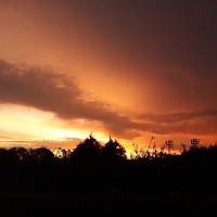 Портрет фотографа (аватар) Paula Neri