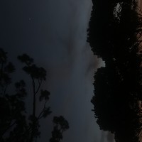 Портрет фотографа (аватар) Sana Salha (Sana ayman salha)