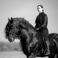 Портрет фотографа (аватар) Tatiana Veresk