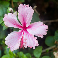 Портрет фотографа (аватар) Евгения Журавлёва (Evgeniya Zhuravleva)