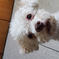 Портрет фотографа (аватар) Jonathan Enrique (Jonathan Enrique Alvarez Dugarte)