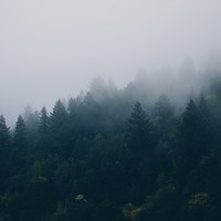 Портрет фотографа (аватар) Леся