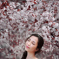 Портрет фотографа (аватар) Лиля Носкова (Lily Noskova)