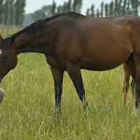 Фотография JUAN IGNACIO BOZZELLO Портрет фотографа (аватар) JUAN IGNACIO BOZZELLO