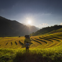 Портрет фотографа (аватар) Gioi Nguyen