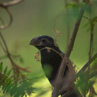 Портрет фотографа (аватар) Diego Garcia (Diego Xavier García Zambrano)