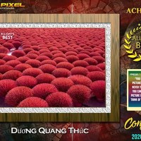 Портрет фотографа (аватар) Dương Quang Thức